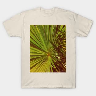 Tropical Palm Trees T-Shirt